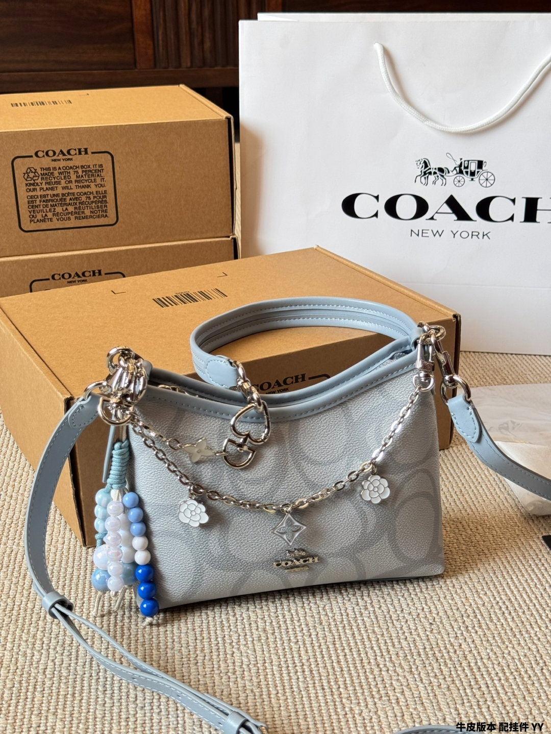 coach bag 05
